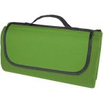 Salvie recycled plastic picnic blanket Green