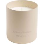 Wellmark scented candle Ecru