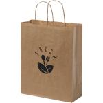Kraft 80 g/m2 paper bag with twisted handles - 25 x 11 x 32 cm Nature