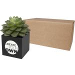 Hey Pots Blumentopf aus Aluminium, Sukkulente Schwarz
