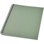 Desk-Mate® A5 farbiges Notizbuch mit Spiralbindung Mintgrün