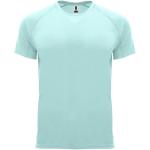 Bahrain short sleeve men's sports t-shirt, mint Mint | L