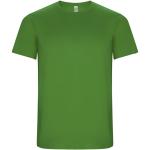 Imola short sleeve men's sports t-shirt, green fern Green fern | L