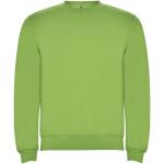 Clasica unisex crewneck sweater, oasis green Oasis green | XS