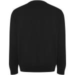 Batian unisex crewneck sweater 