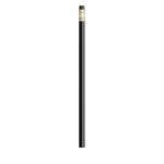 BIC® Evolution® Classic Ecolutions® Bleistift Schwarz