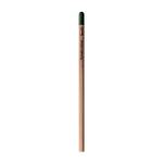 Sprout™ | Pencil Chrysanthemum red