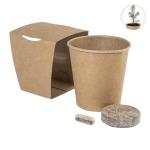 MerryGrow Tannenbaum-Anzuchtset Natur