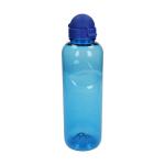 Drinking bottle Carve "Junior" 1 l Transparent blue