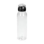 Drinking bottle Active "Oasis" 650 ml Transparent