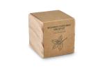 FSC-Holzpflanzgefäß-Set – Mint Natur