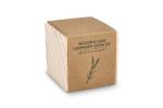 FSC-Holzpflanzgefäß-Set – Lavendel Natur