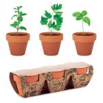 FLOWERPOT Terracotta-Set Kräuter Holz