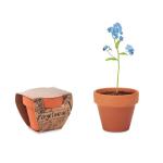 FORGET ME NOT Terracotta-Topf Vergissmeinnich Holz