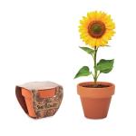 Terracotta pot 'sunflower' Timber