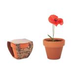 RED POPPY Terracotta pot 'poppy' Timber