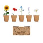 FLOWERS Saat-Set Sommerblumen Beige