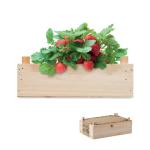 Strawberry kit in wooden crate Timber