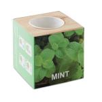 MENTA Herb pot wood "MINT" Timber