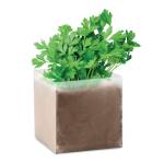 PARSELY Pflanz-Set "Petersilie" Beige