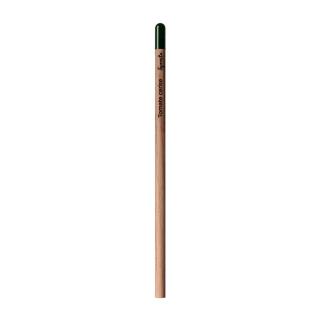 Sprout™ | Pencil 