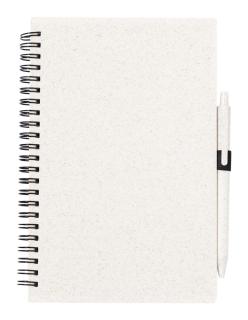 Emily notebook 