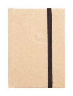Carya notebook 