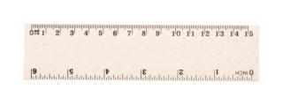 Whealer 15 ruler 
