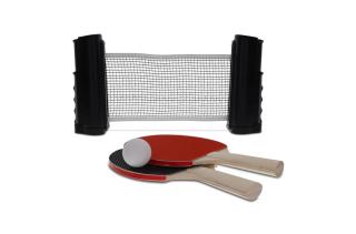 Table tennis set for a regular table 