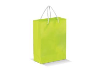 Laminierte Papiertasche, groß Hellgrün