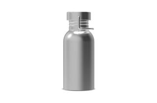 Wasserflasche Skyler 500ml Silber