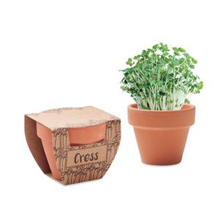 CRESS POT Terracotta pot cress seeds 