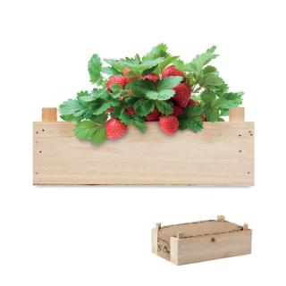 Strawberry kit in wooden crate 