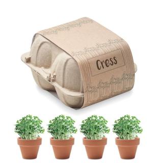 CRESS Egg carton growing kit Fawn