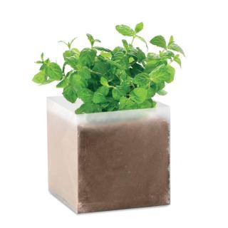 Compost with seeds "MINT" 