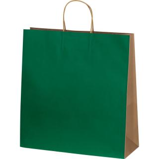 Papiertasche groß GUS Grün