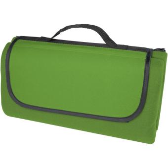 Salvie recycled plastic picnic blanket Green