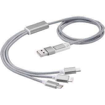 Versatile 5-in-1 charging cable Silver