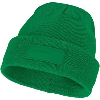 Boreas beanie with patch Fern green
