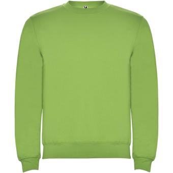 Clasica unisex crewneck sweater, oasis green Oasis green | XS