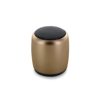 Mini BT Speaker Delicate Gold
