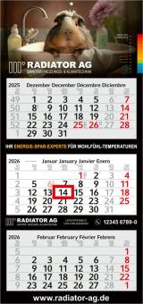 3-Monatskalender (Mehrblock): Preiswerter Mehrblock-Monatskalender mit Werbefläche auf der kompletten Rückwand und perforierten Kalenderblöcken – inklusive 4C-Digitaldruck Light grey
