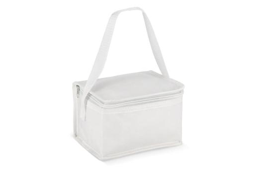 R-PET 6 Can cooler bag non-woven 20x 13 x 12.5cm 75g/m² White