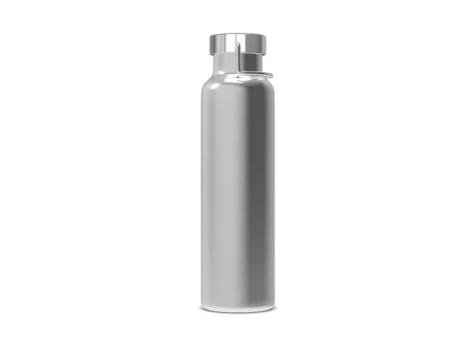 Thermo bottle Skyler 650ml Silver