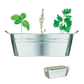 MIX SEEDS Zinc tub with 3 herbs seeds Flat silver
