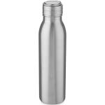 Harper 700 ml stainless steel water bottle with metal loop 
