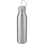 Harper 700 ml stainless steel water bottle with metal loop 