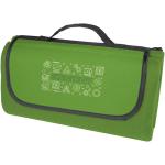 Salvie recycled plastic picnic blanket Green