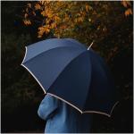 Citizen Green Leopold 24" Regenschirm aus recyceltem Material Navy