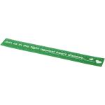 Rothko 30 cm plastic ruler Green